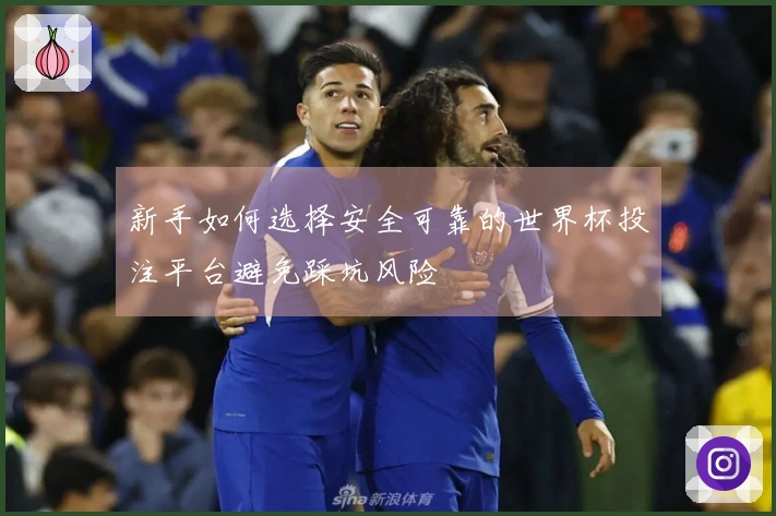 新手如何选择安全可靠的世界杯投注平台避免踩坑风险