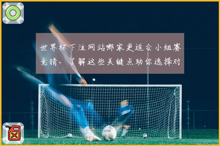 世界杯下注网站哪家更适合小组赛竞猜，了解这些关键点助你选择对的平台